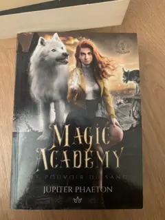Magic Academy, tome 4 : Le pouvoir du sang, couverture