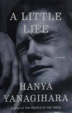 A Little Life, couverture