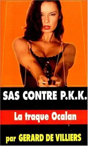 SAS, tome 148 : Bin Laden, la traque