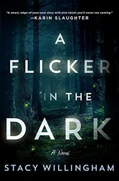 A Flicker in the Dark, couverture