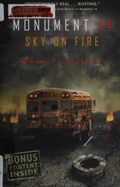 Sky on Fire