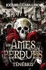 Ténébris, tome 2 : Les Âmes Perdues