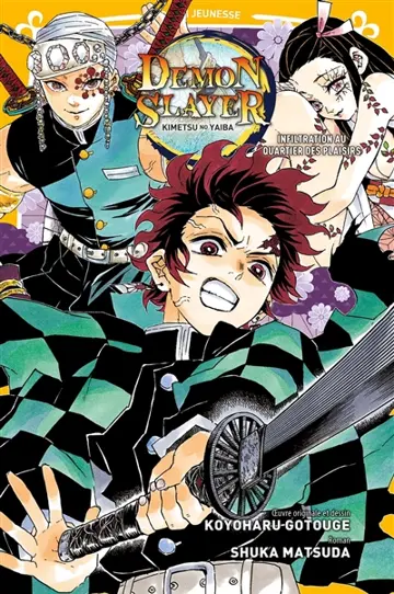 Demon slayer : Kimetsu no yaiba. Vol. 4