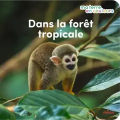 Dans la forêt tropicale
