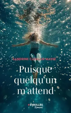 Puisque quelqu'un m'attend, couverture