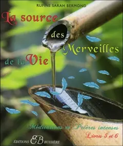 Mes pouvoirs secrets : méditations et prières intenses, tome 3 : Livres 5 et 6 : la source des merveilles de la vie : de la pensée à la création