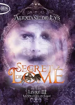 Le secret de Lomé, tome 3 : La destinée de Lomé