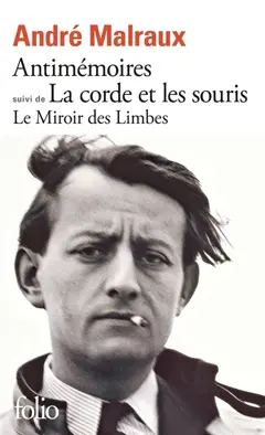 Le miroir des limbes
