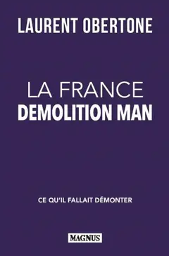 La France Demolition man : ce qu'il fallait démonter : essai, couverture