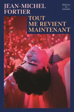 Tout me revient maintenant, couverture