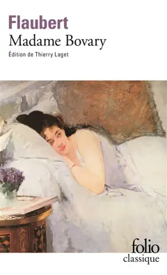 Madame Bovary : mœurs de province, couverture