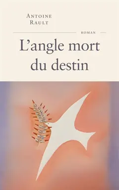 L'angle mort du destin, couverture