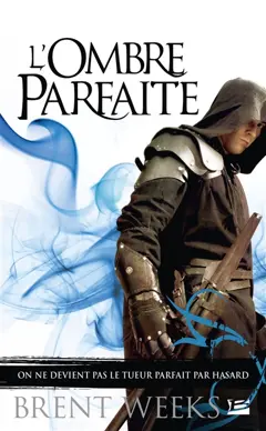 L'ombre parfaite : et autres bonus dans l'univers de L'ange de la nuit