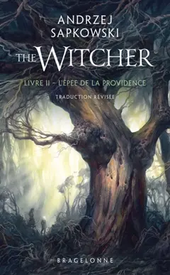 Le sorceleur, tome 2 : L'épée de la providence. The witcher. Vol. 2. L'épée de la providence, couverture