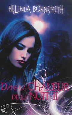 Dans la chaleur de la nuit, tome 2
