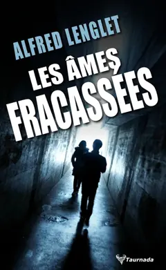 Les âmes fracassées, couverture