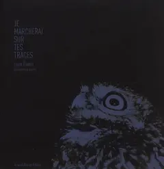 Je marcherai sur tes traces