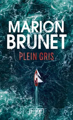 Plein gris, couverture