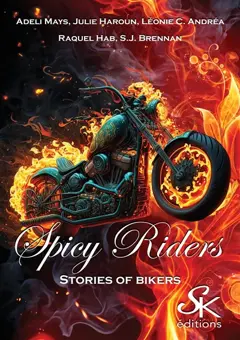 Spicy riders : stories of bikers, couverture