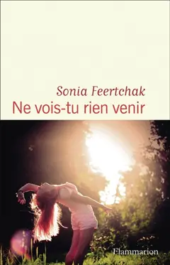 Ne vois-tu rien venir, couverture