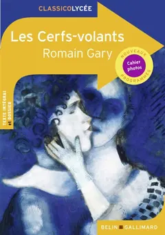 Les cerfs-volants : nouveaux programmes
