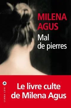 Mal de pierres. Tout le ciel dans une chambre