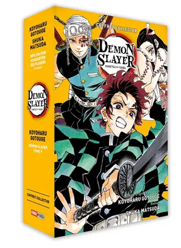 Demon slayer : Kimetsu no yaiba. Vol. 4. Infiltration au quartier des plaisirs