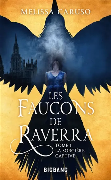 Les faucons de Raverra. Vol. 1. La sorcière captive