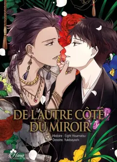 De l'autre côté du miroir, couverture