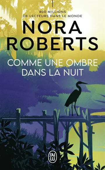 Comme une ombre dans la nuit