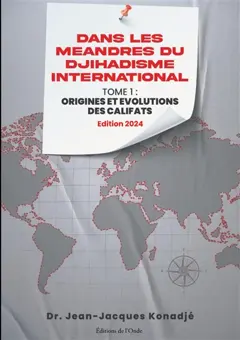 Dans les méandres du djihadisme international, tome 1 : Origines et évolutions des califats, couverture