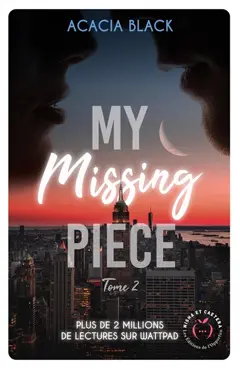 My missing piece, tome 2