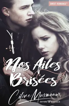 Nos ailes brisées, couverture