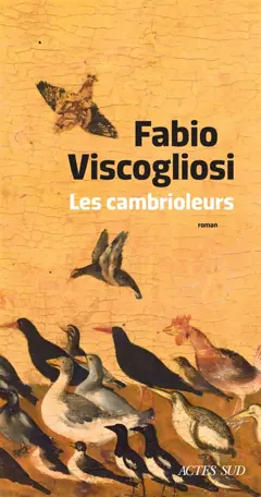 Les cambrioleurs, couverture