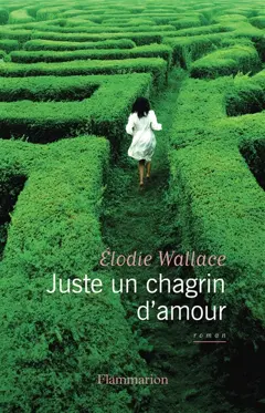 Juste un chagrin d'amour, couverture