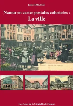 Namur en cartes postales colorisées, tome 2 : La ville