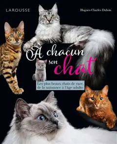A chacun son chat : les plus beaux chats de race, de la naissance à l'âge adulte, couverture