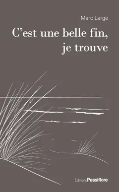 C'est une belle fin, je trouve, couverture