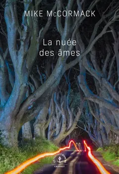 La nuée des âmes, couverture