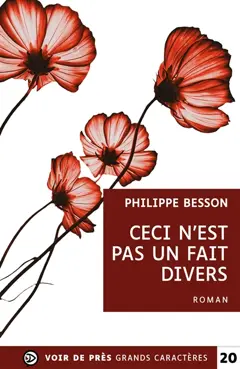 Ceci n'est pas un fait divers, couverture