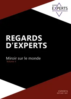Regards d'experts : miroir sur le monde, tome 4