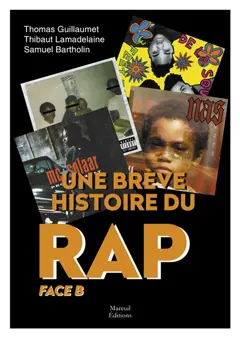 Une brève histoire du rap, tome 2 : Face B
