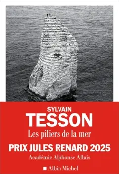 Les piliers de la mer, couverture