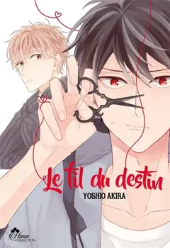 Le fil du destin, couverture