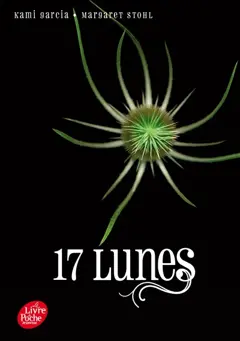 Le livre des lunes, tome 2 : 17 lunes