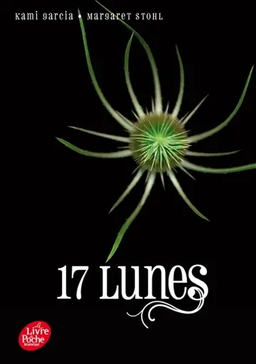 Le livre des lunes, tome 2 : 17 lunes