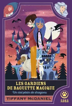 Les gardiens de baguette magique, tome 1 : Un ciel plein de dragons