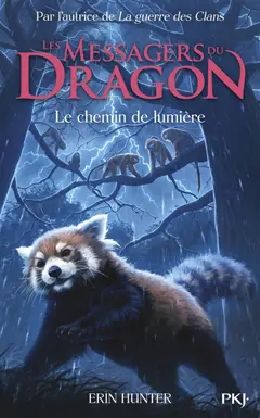 Les messagers du dragon : cycle 1, tome 5 : Le chemin de lumière, couverture