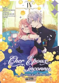 Cher époux inconnu, je veux divorcer, tome 4