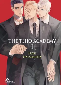 The Teijo Academy, tome 1, couverture